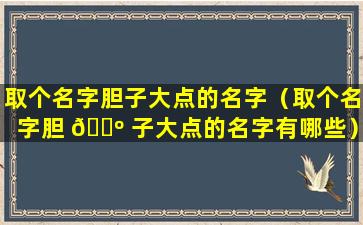 取个名字胆子大点的名字（取个名字胆 🌺 子大点的名字有哪些）